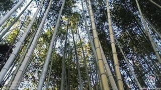 Exploring Tokyo's Giant Sex Shops. 2nd Part!!