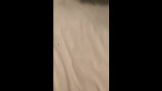 big dick stroking