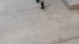 Fucking MY NEIGHBOR while HER HUSBAND IS NOT