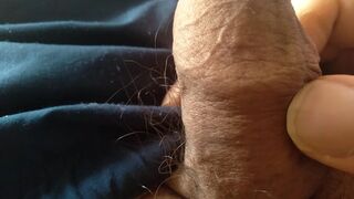 Big monster cock wants to fill your dirty ass with semen