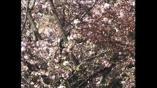 Big ass fucking with sexy blonde babe