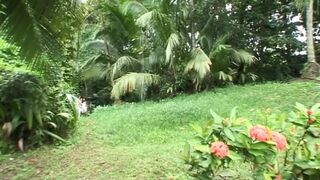 Doctor Max To the Caribbean: a story of white sluts and black cocks