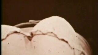 Wife fucked silly by her first big black cock