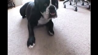 This perfect sexy milf with big tits is ideal to please with a big black cock