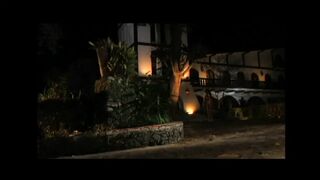 Brunette beauty doggystyle fucked by a big black cock