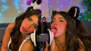 ASMR TWO Cats Flirt and Lick Your Ears with Eye Contact layered sounds - CorneliustheCat ASMR