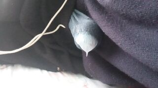 STRONG MOANS OF ORGASM