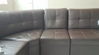 Meneo mi culo en cámara mientras todos trabajan