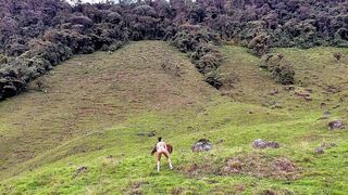 Colombian couple having hard sex in the forest
