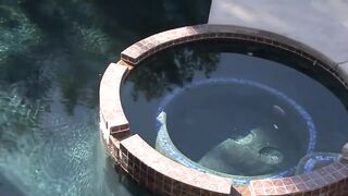 Chavon Taylor fucks and sucks a big black cock