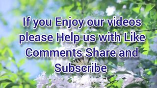 Extramarital Affair with an Old Friend 3rd Part