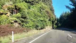 Best Of Heidi And Dex 2025