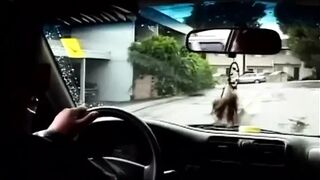 Big tattooed guy loves the pussy on cock in mouth