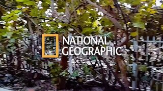 Goon Room Vol.1 Fucking Facetime Throatpies