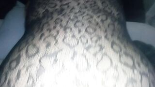 PAWG in fishnet takes backshots