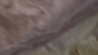 Parent Teacher Conference Got Creamy ????