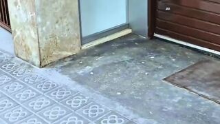 Blowjob in public with my stepbrother the pervert cums on my face in front of many people