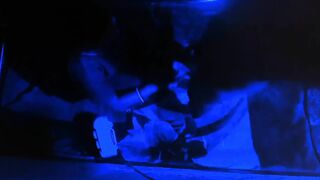 Indian Hot Couple Fuck