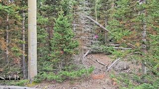 Slutty Hotwife Polyjswitch Finds Some Big Wood in the Forest