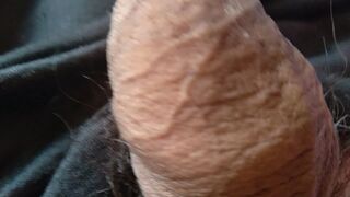 great dick smells good