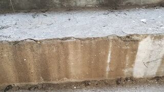 Tu Hai chikni Gand mein land De Diya Ho Gai kitni