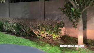 pimpin in ah bonnet dont know what to expect from ambitious booty getting crunk