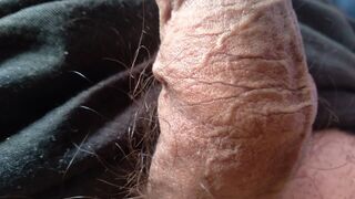 Gay dick wants to be your sex toy