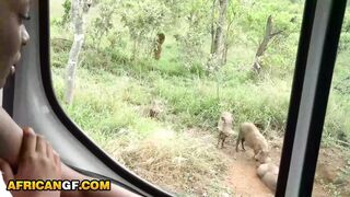 Horny Ebony Girlfriend Deep Throats Big White Cock On a Safari Trip