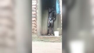 stepbrother morning erection