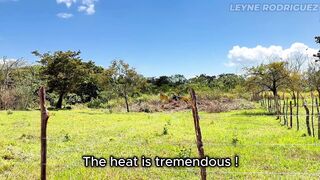 Sexy MILF Desperate for Money Gets Boned by Farmer - POV